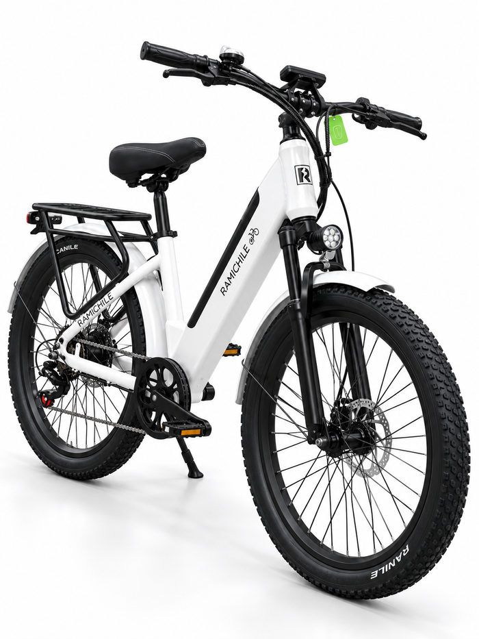 Bicicletas Eléctricas