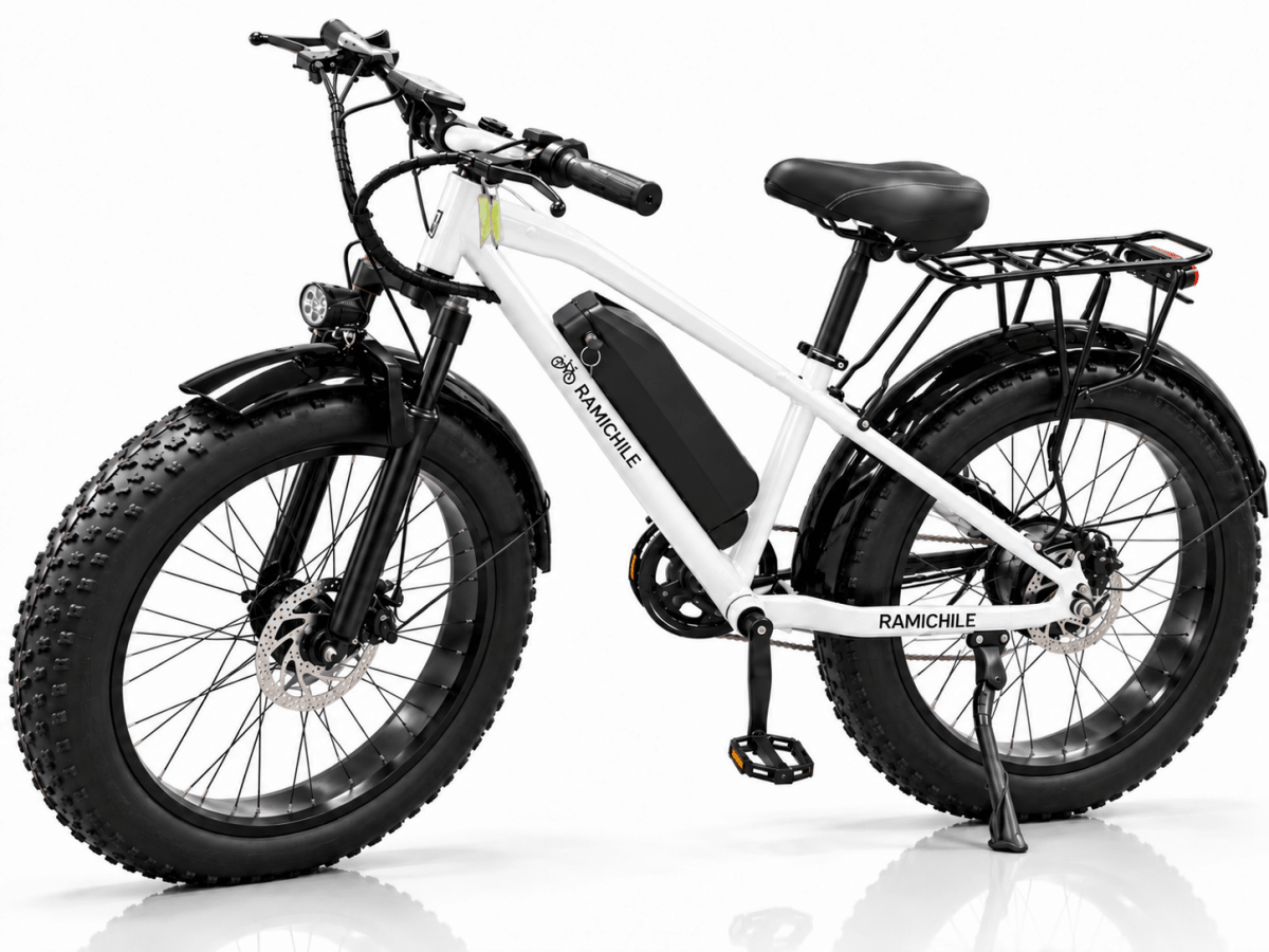 Nueva Rami® Pantera • Bicicleta Electrica 51.2V 20Ah - Rami Chile