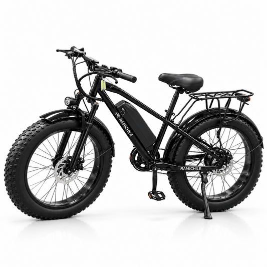 Nueva Rami® Pantera • Bicicleta Electrica 51.2V 20Ah - Rami Chile