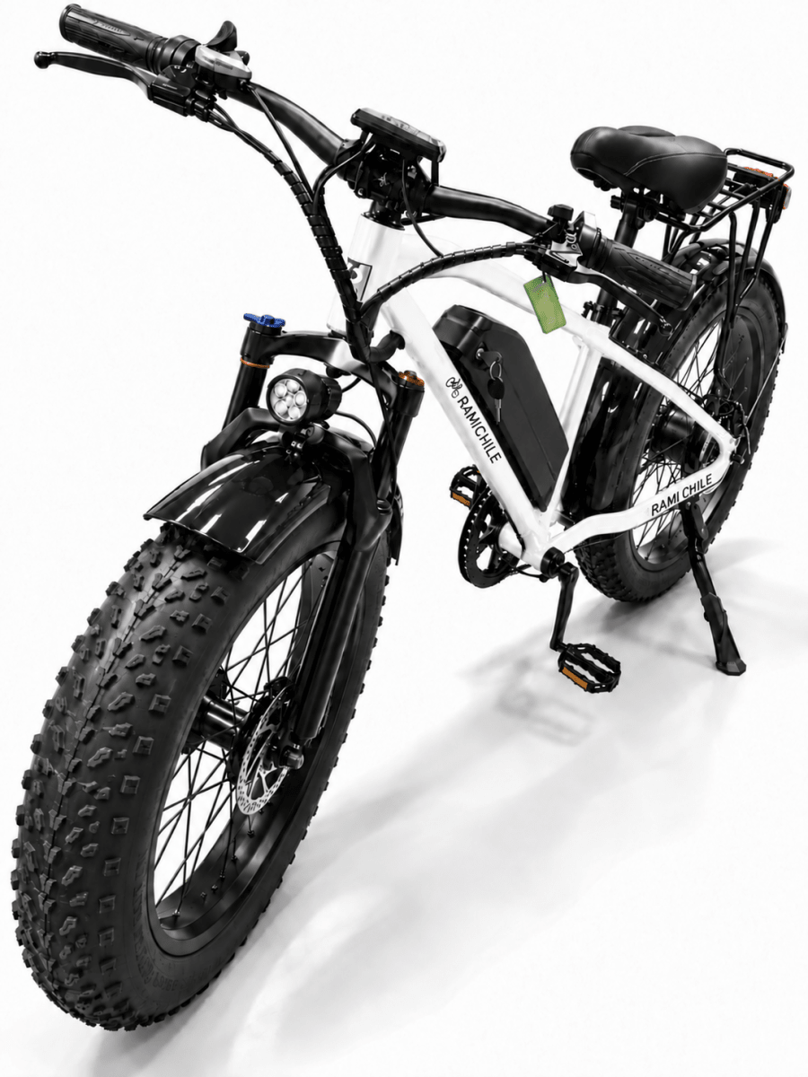 Nueva Rami® Pantera • Bicicleta Electrica 51.2V 20Ah - Rami Chile